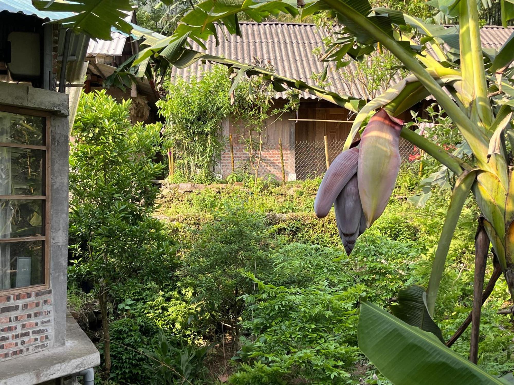 사파 Ya'S House 아파트 외부 사진
